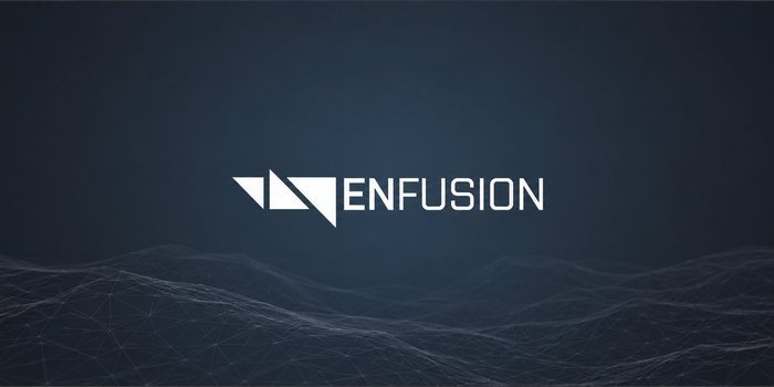 Enfusion