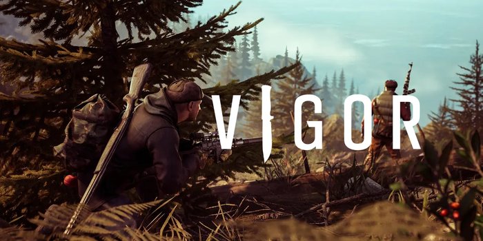 Vigor